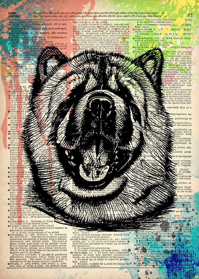 CHOW CHOW DOG ILLUSTRATION