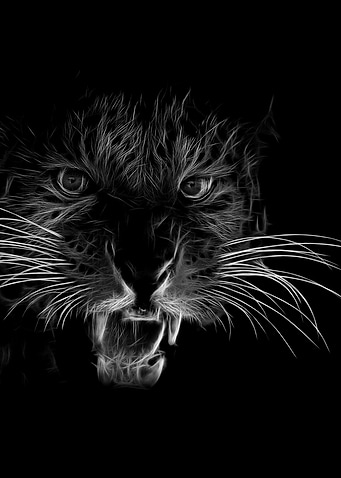 lion