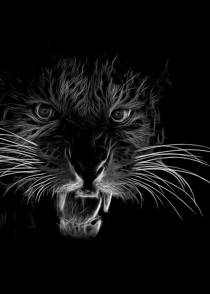 lion