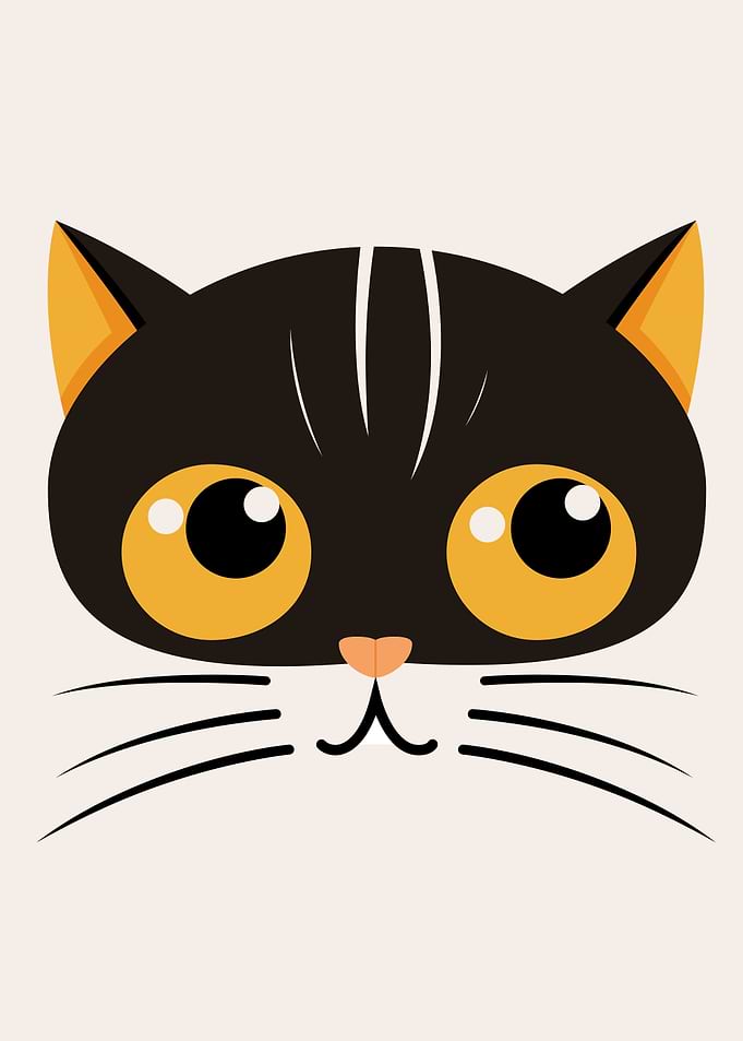 CALICO CAT CUTE FACE