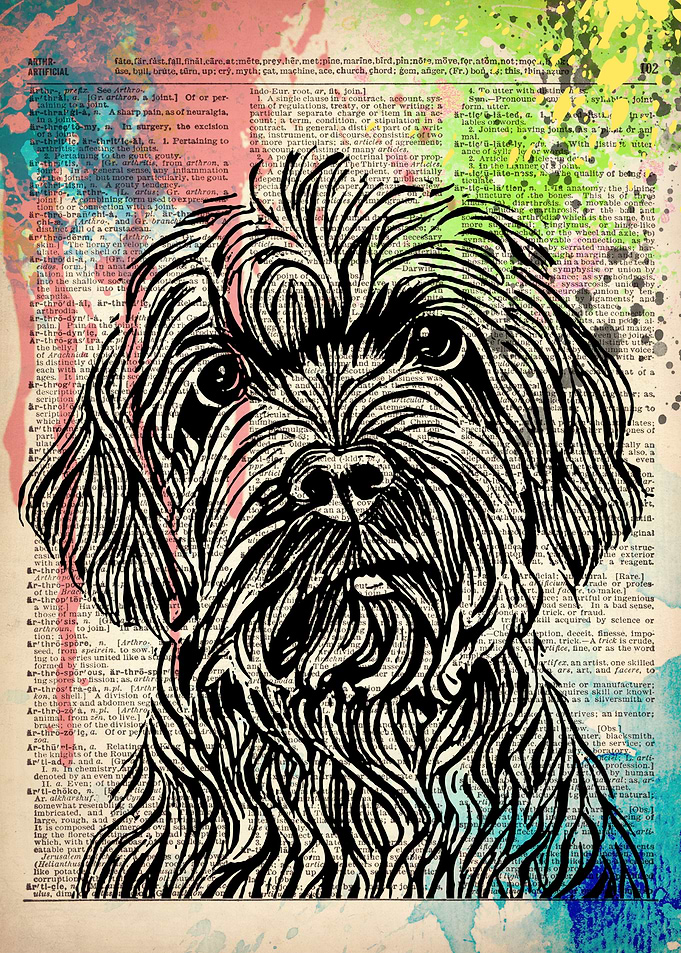 Cockapoo Dog line drawing