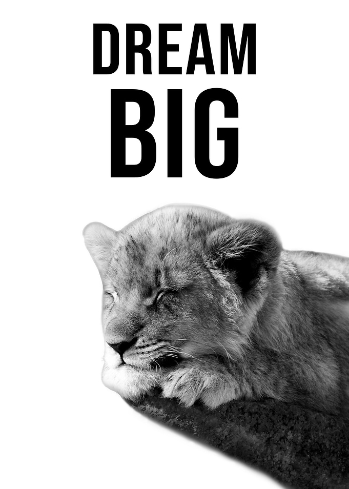 Dream Big quote lion cub