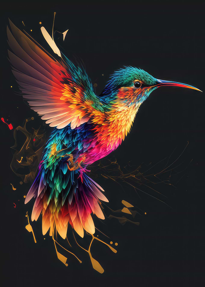 Colorful Hummingbird