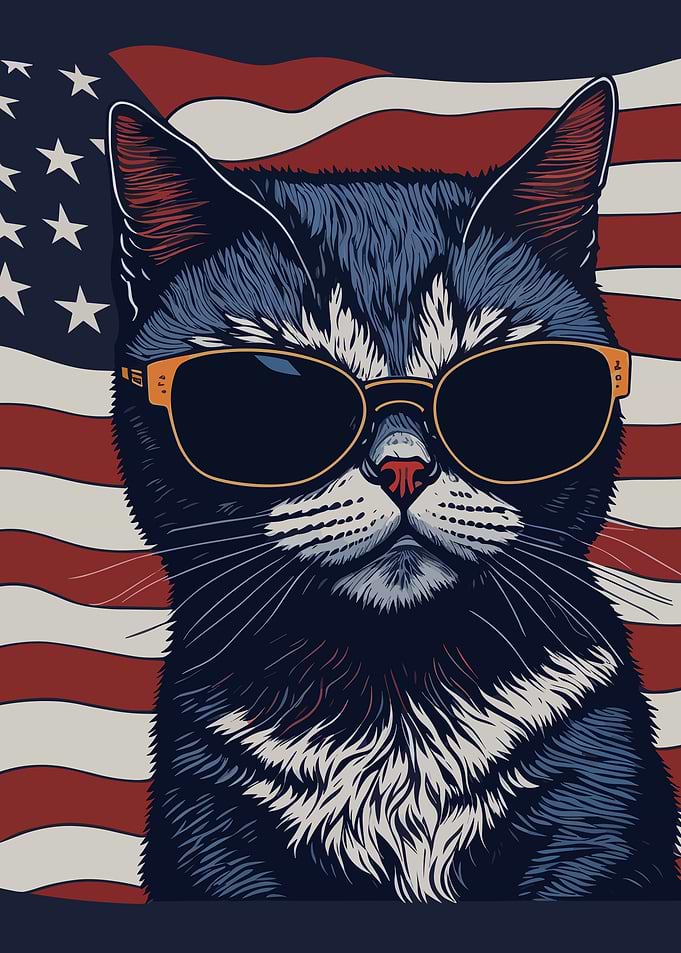 USA Cat