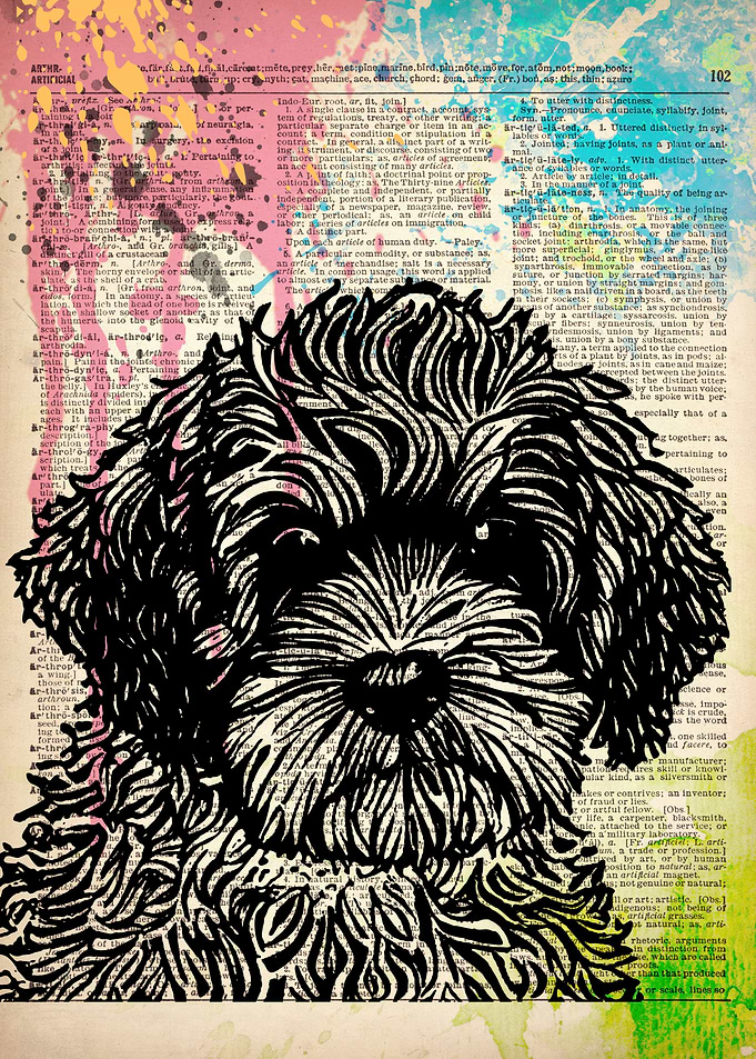 Cockapoo DOG ILLUSTRATION