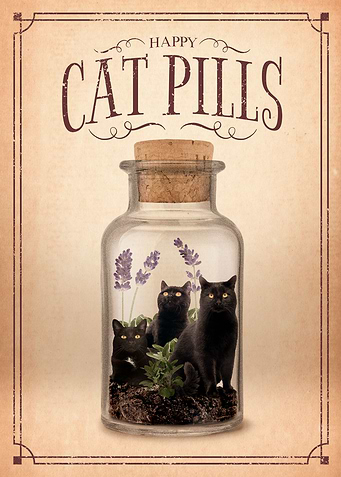Cat Pills