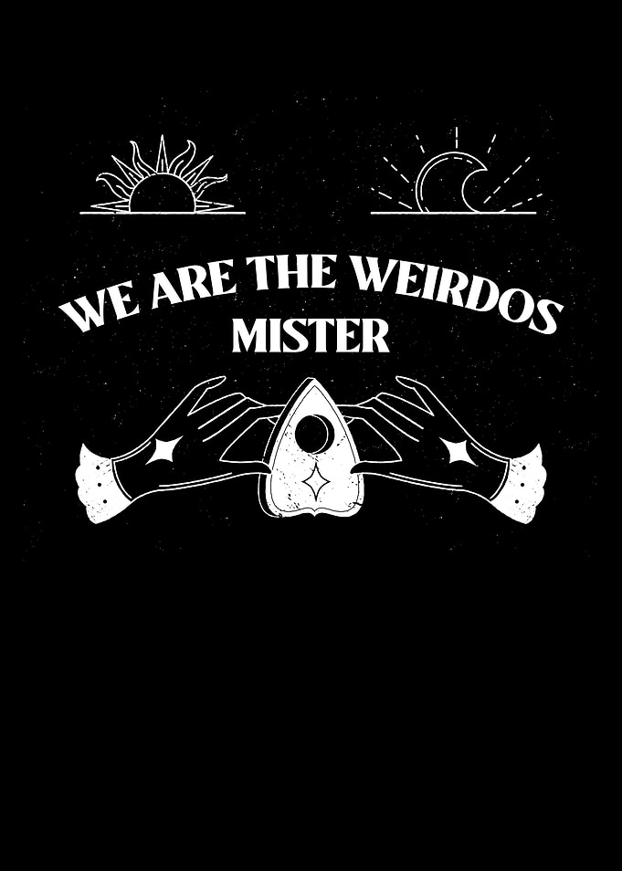 We Are The Weirdos Mister