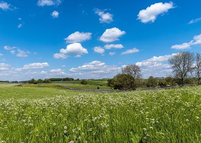 Spring Countryside Scene