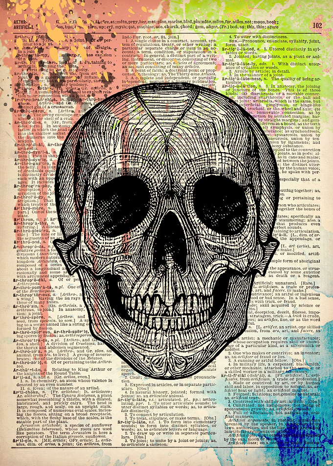 HUMAN SKULL ART