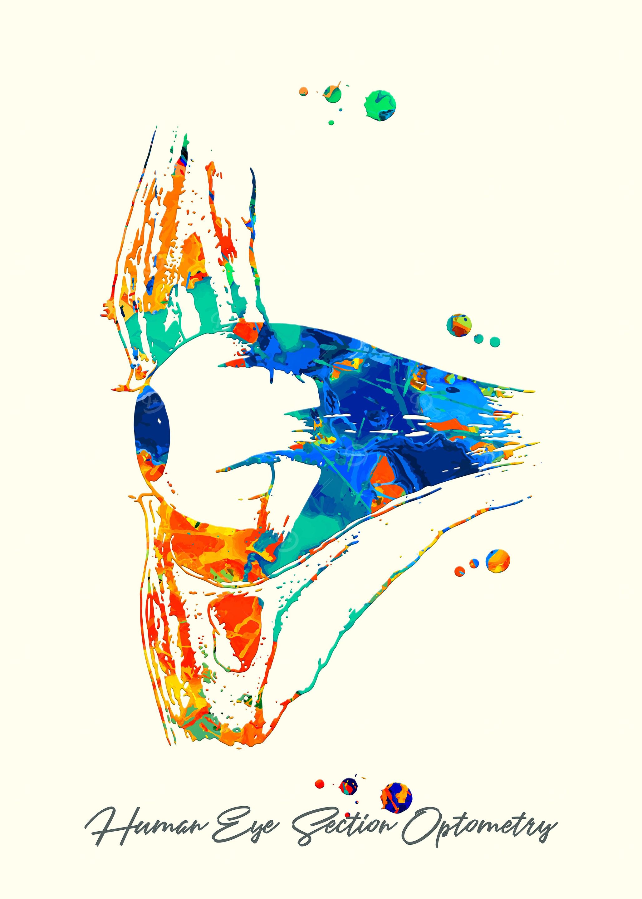Human Eye Section