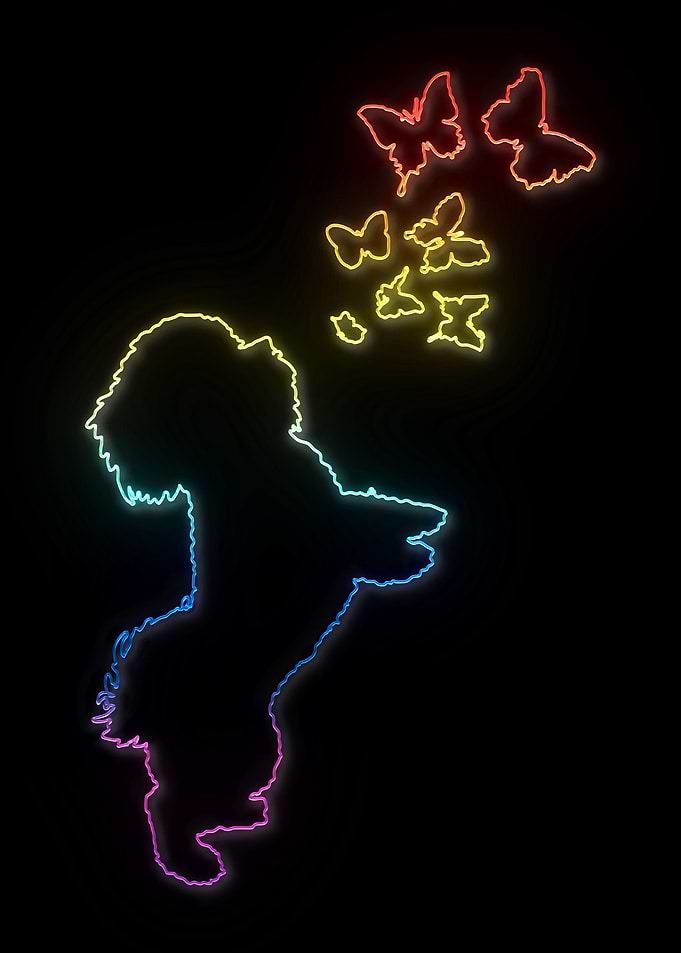 Neon Shih Tzu Dog
