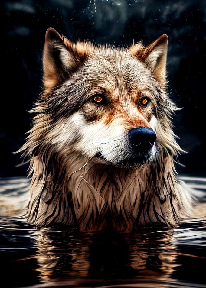 Wolf