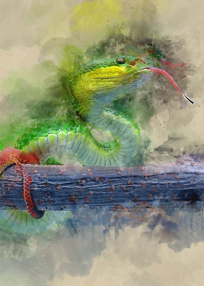 Green Snake
