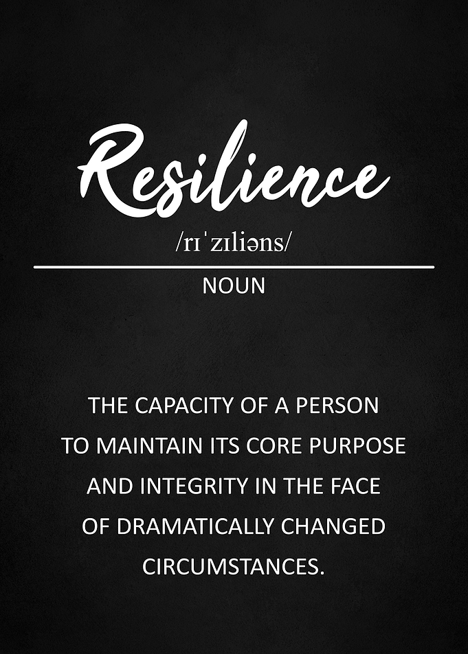 Resilence definition