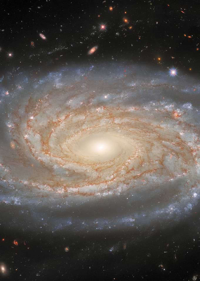 NGC 7038