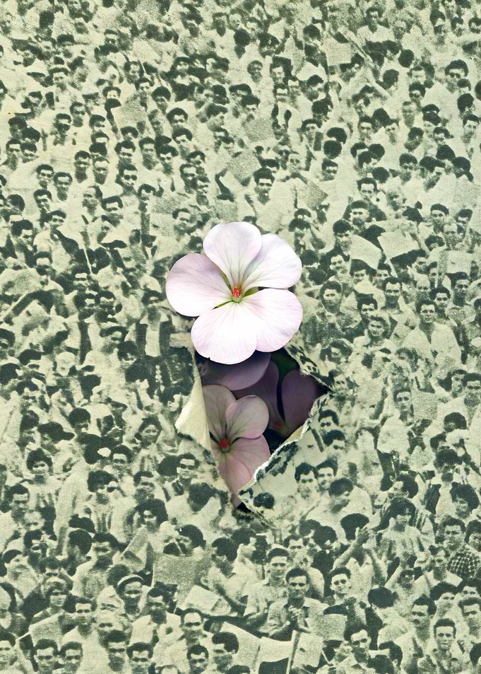 Flower power