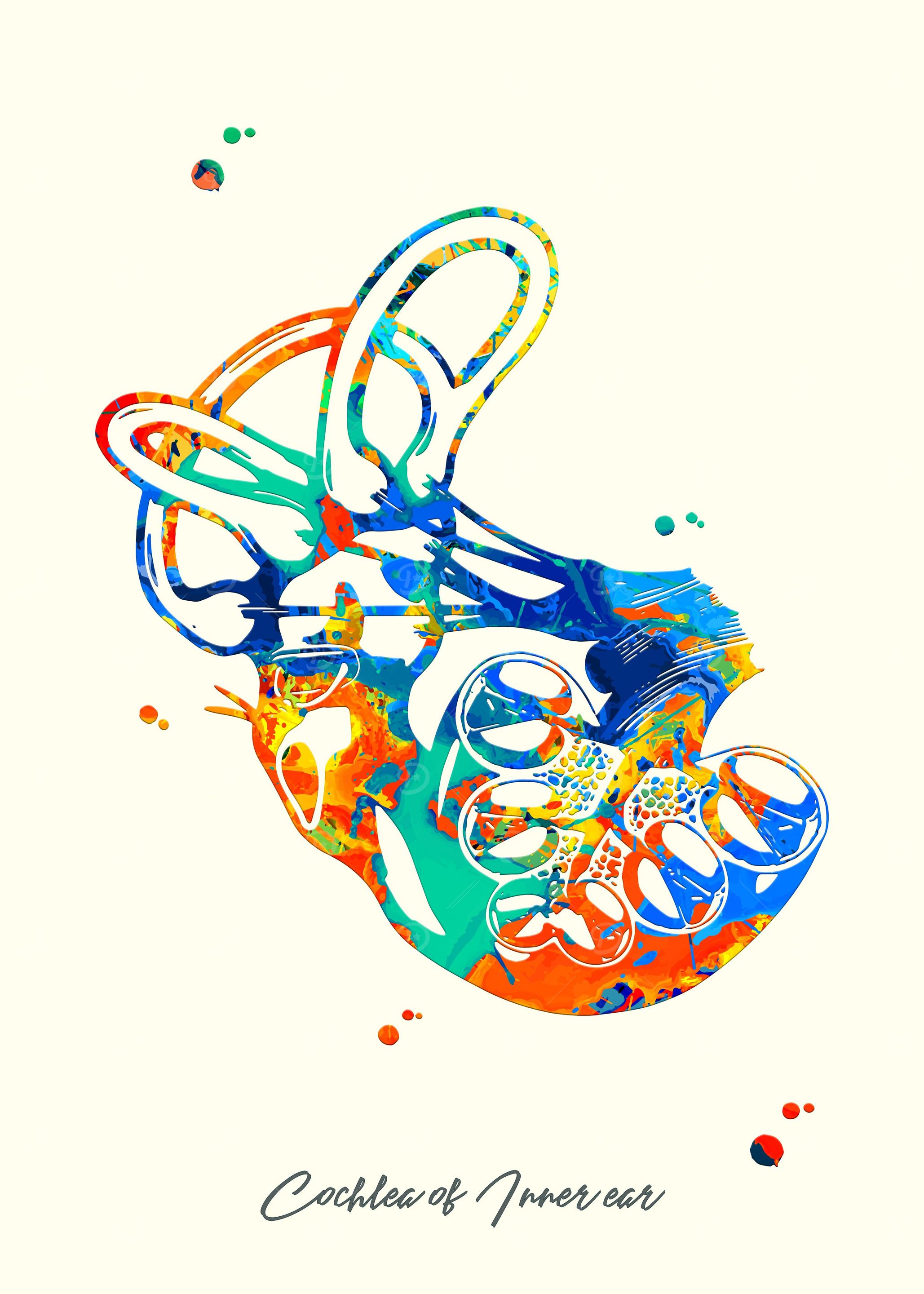 Cochlea of Inner ear