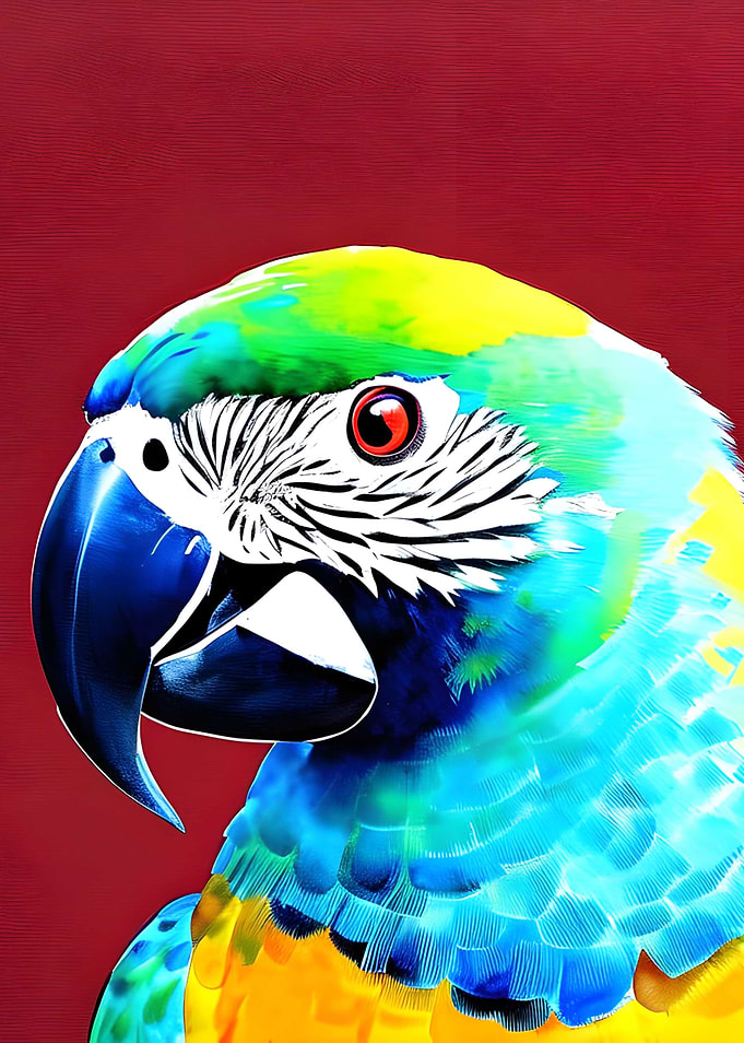 Parrot on a red background