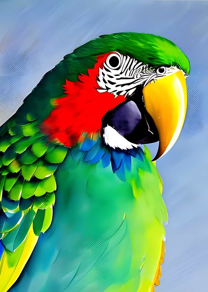 Colorful parrot