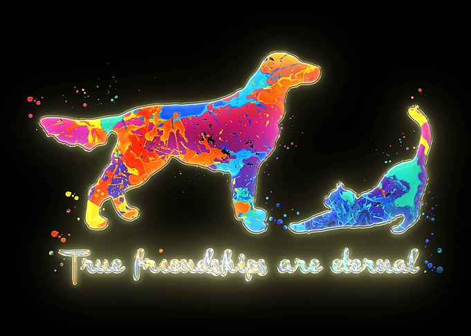 Cat and Dog Friend Quote