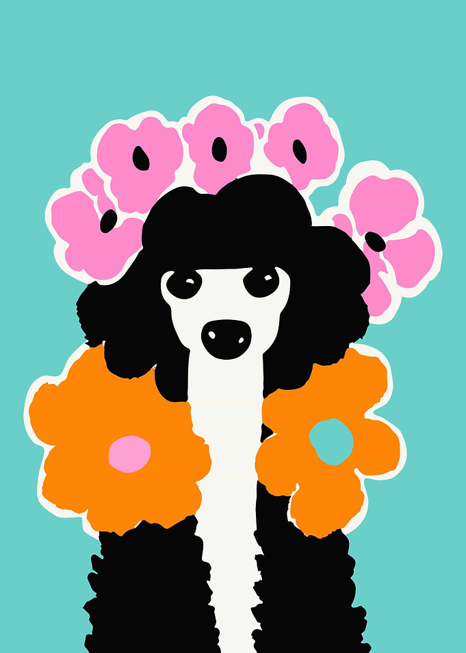 Poodle Dog Nature Lover
