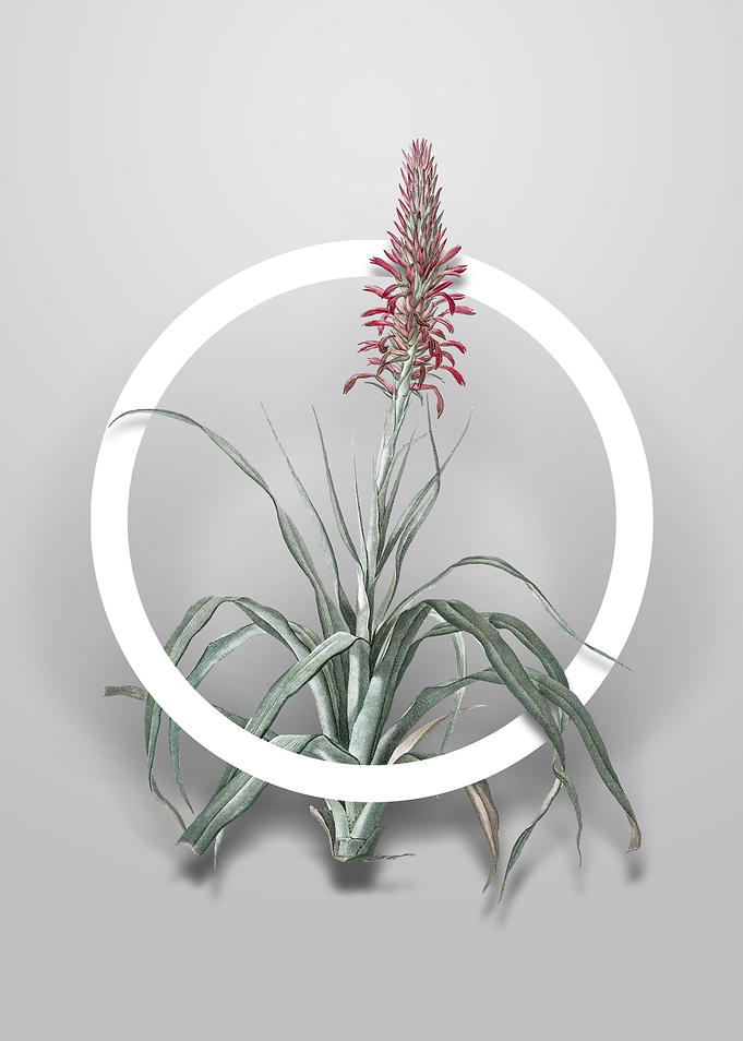 Pina Cortadora Flower Art
