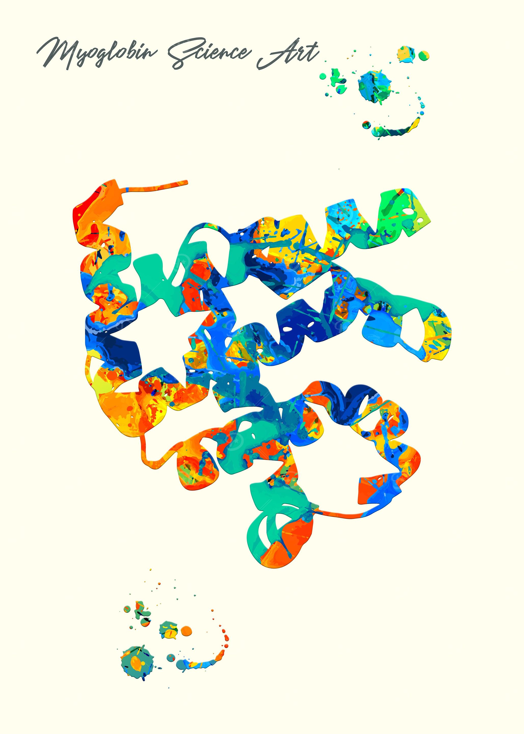 Myoglobin science art