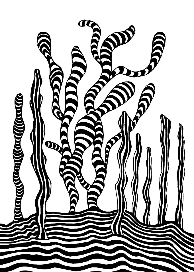 Striped Wilderness