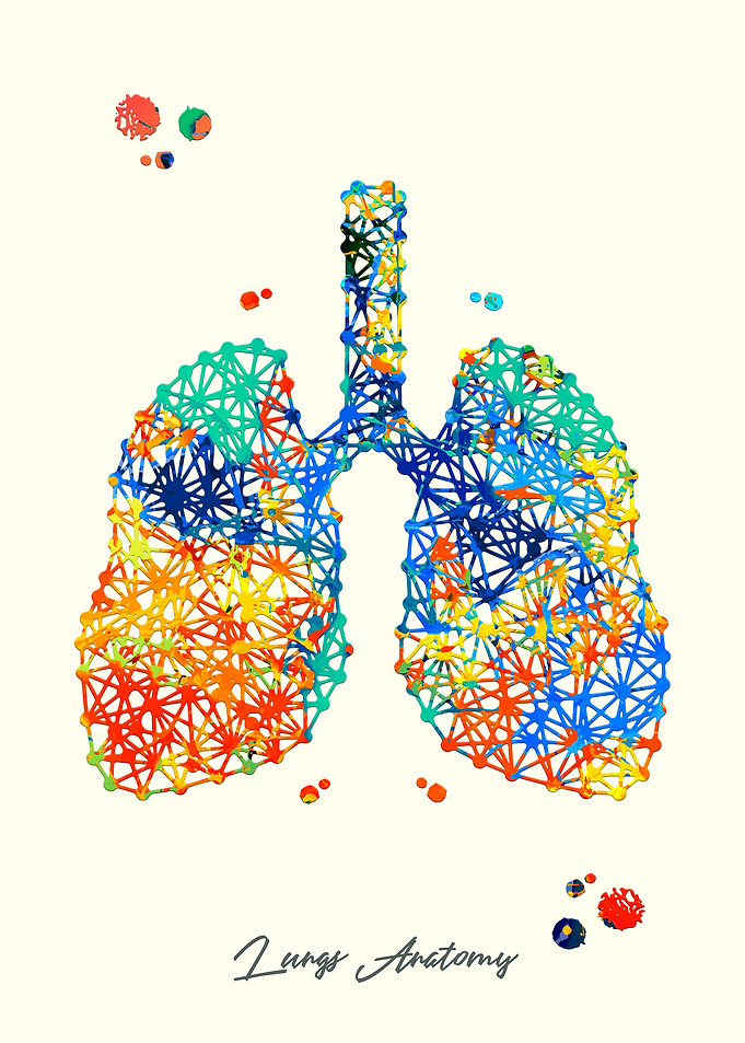 Lungs Anatomy