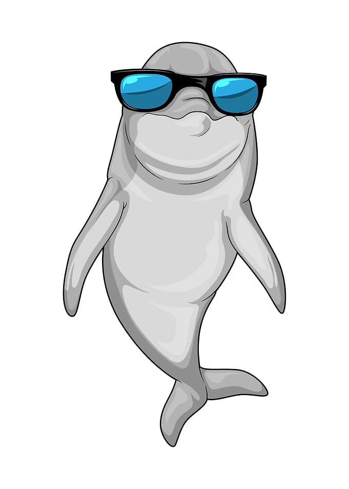 Dolphin Sunglasses