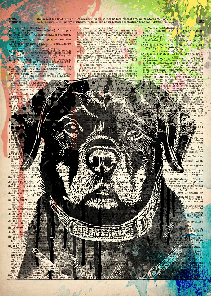 Rottweiler dog art