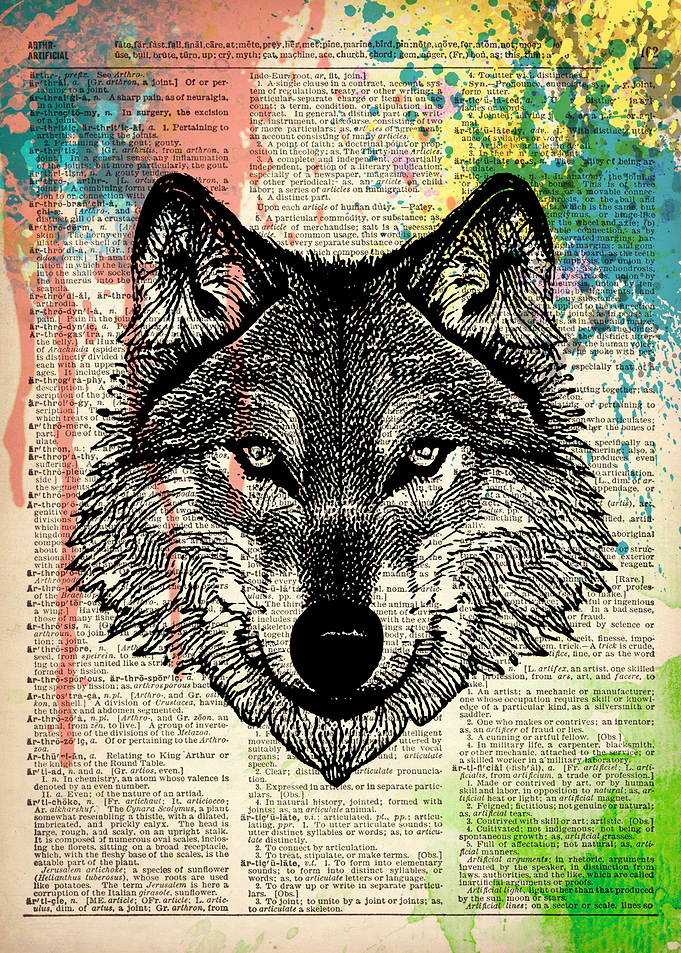 WOLF ILLUSTRATION