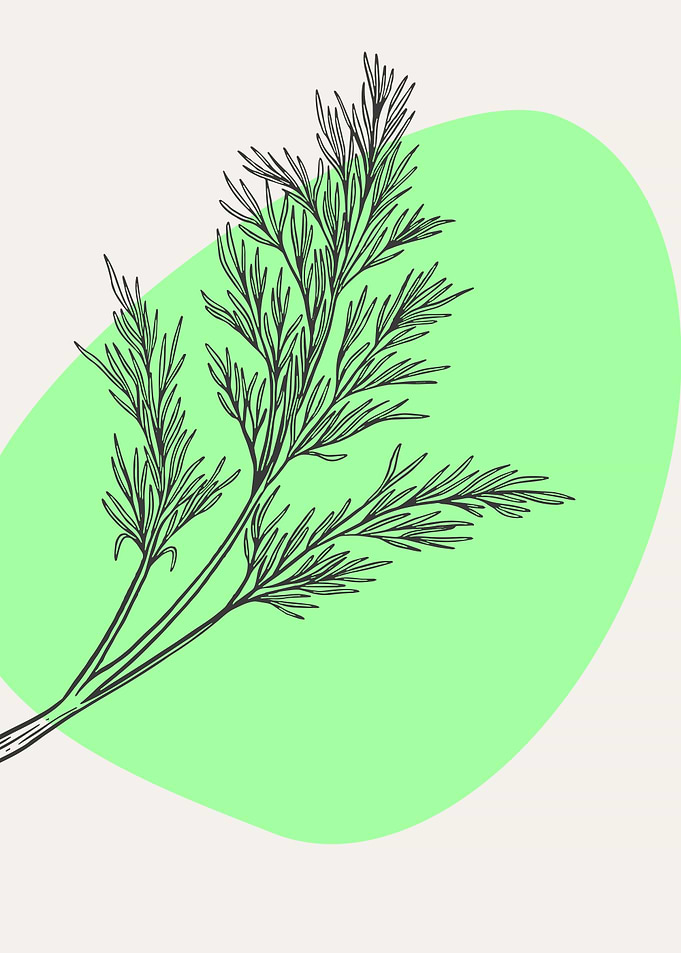 Botanic Minimalist