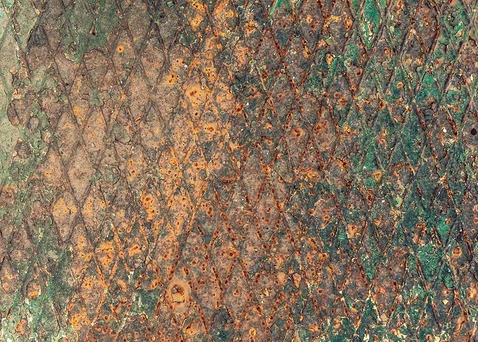 Rust mold green brown patt
