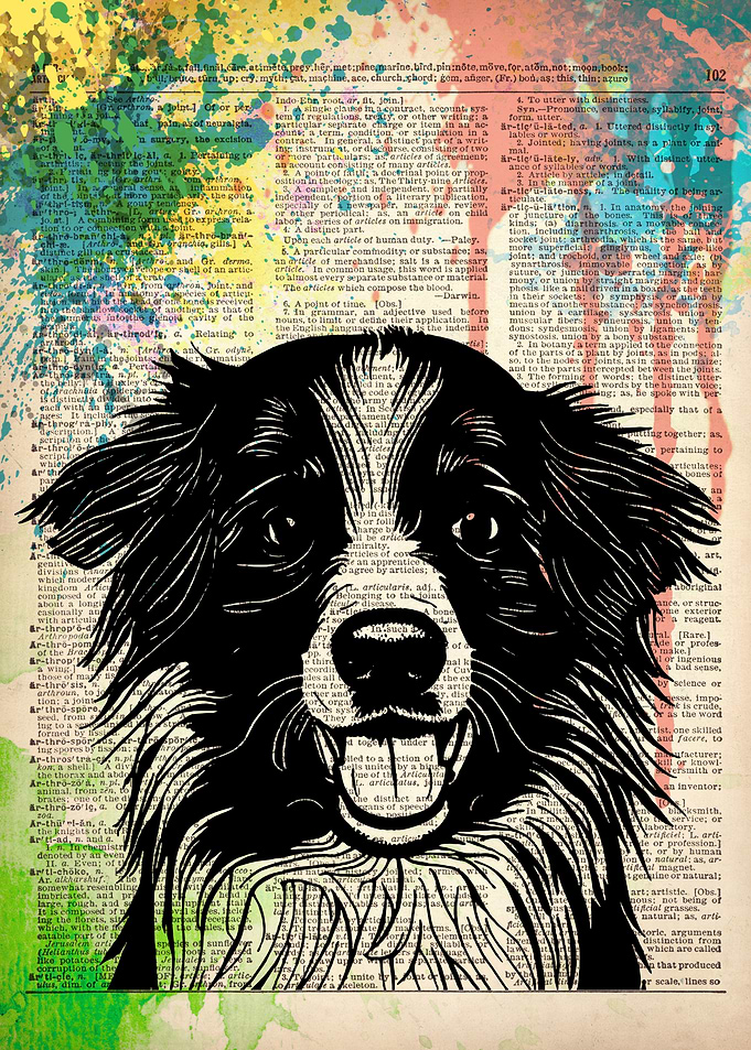 Bernese Mountain Dog art