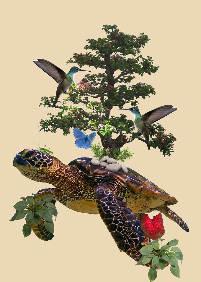 surreal turtle