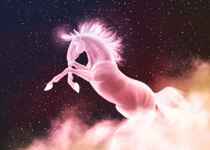 Stellar Horse