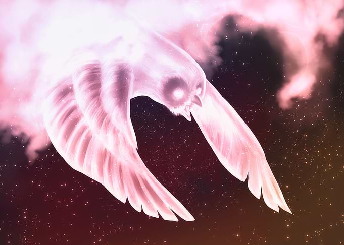 Stellar Owl