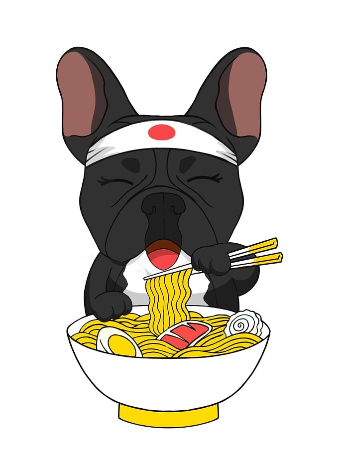 French Bulldog Ramen