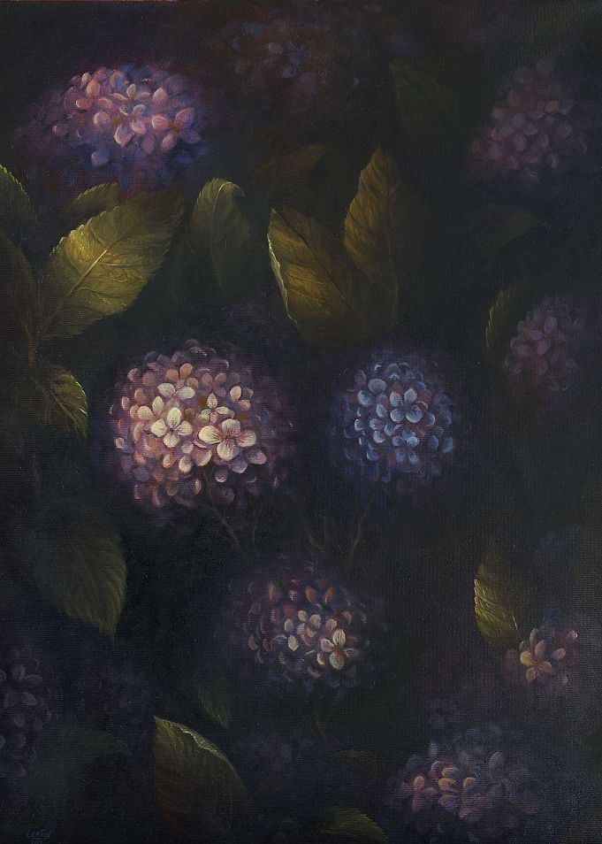 Hydrangeas