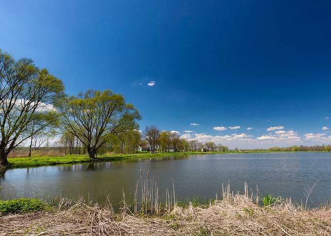 Spring pond
