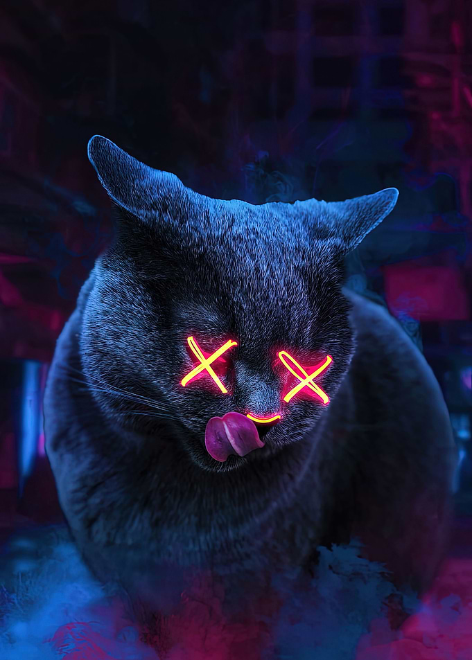 Black Cat