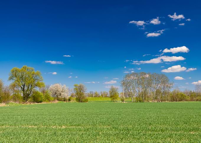 Landscape, meadow, travel