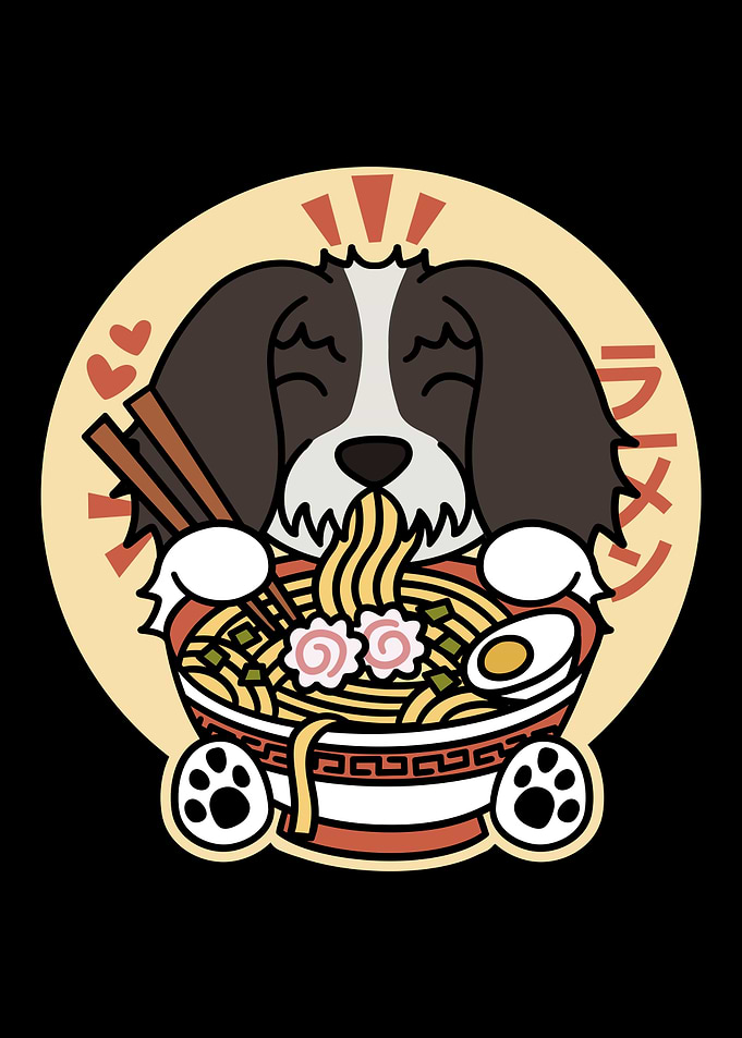 Havanese Ramen