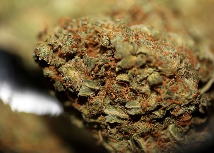 Marihuana legalizierung DE