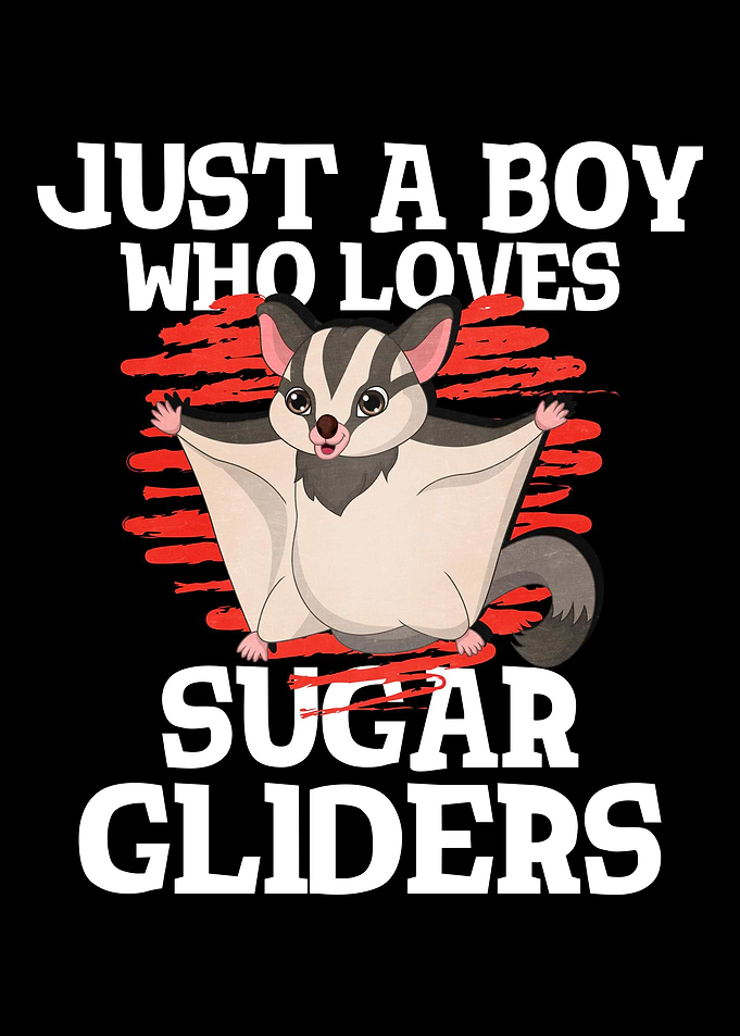 Sugar Gliders Boy Love