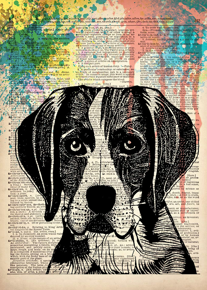 American Fox hound dog ART