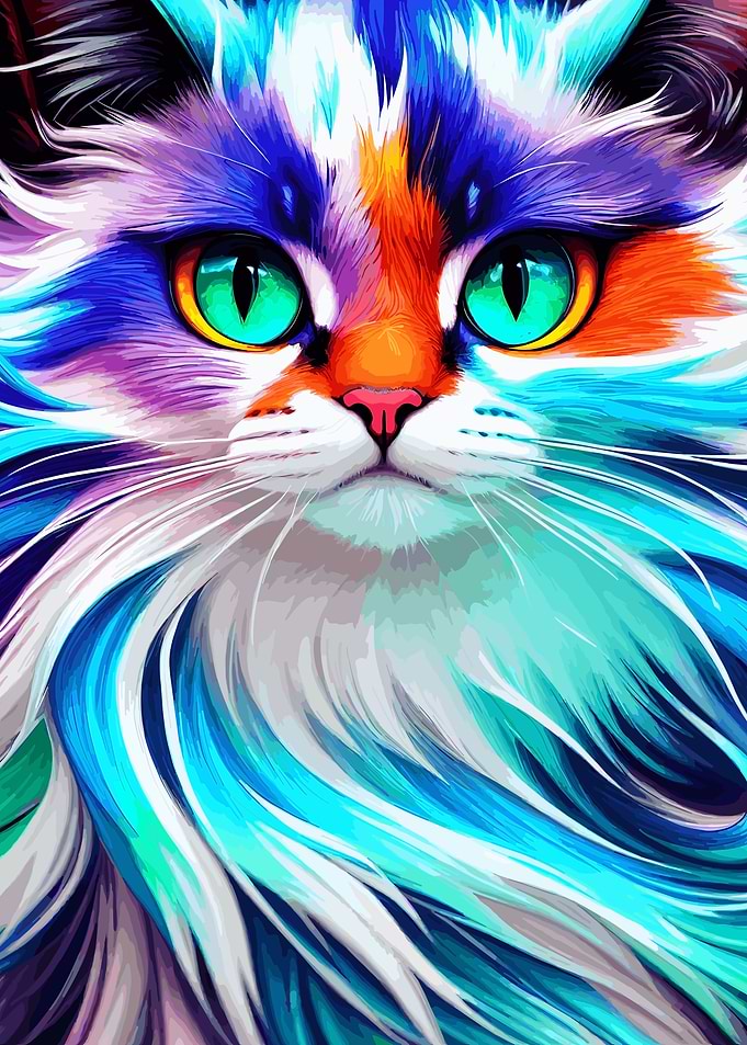 Beautiful Furry Cat