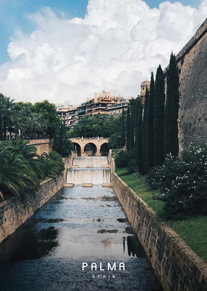 Palma