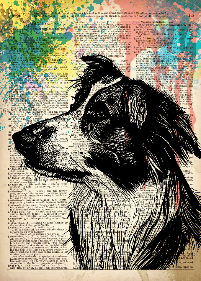 Shepherd DOG ILLUSTRATION